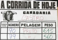 O peso dos Toiros para a corrida em Alcochete